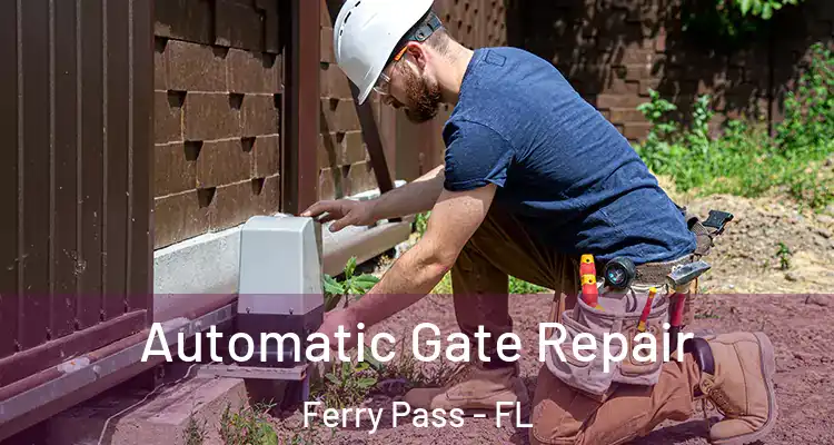  Automatic Gate Repair Ferry Pass - FL