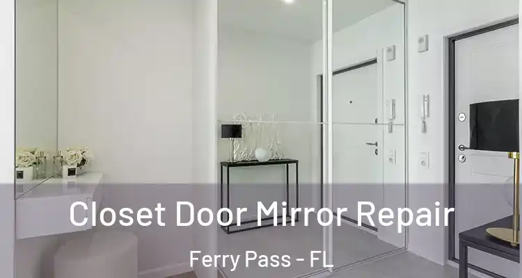  Closet Door Mirror Repair Ferry Pass - FL