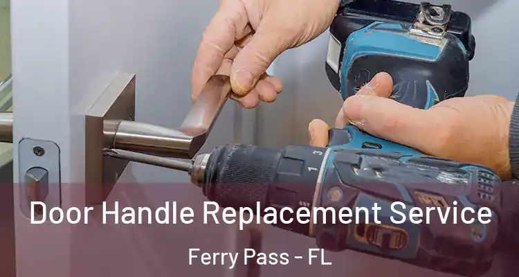  Door Handle Replacement Service Ferry Pass - FL