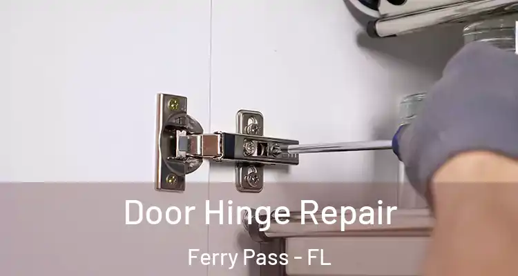  Door Hinge Repair Ferry Pass - FL