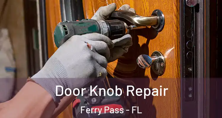  Door Knob Repair Ferry Pass - FL