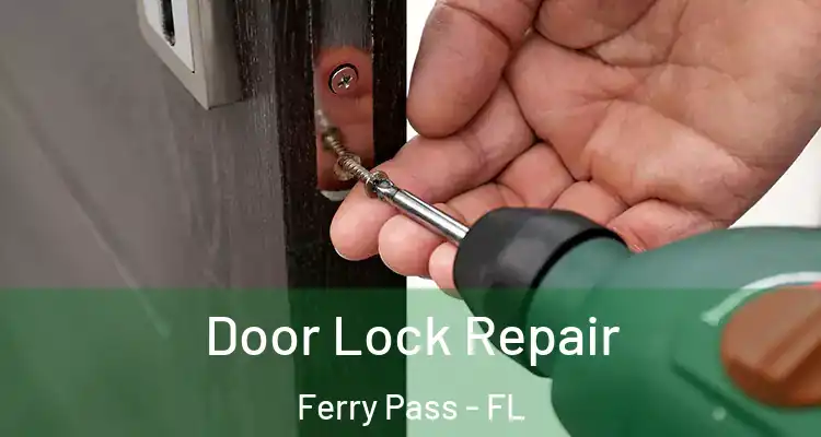  Door Lock Repair Ferry Pass - FL