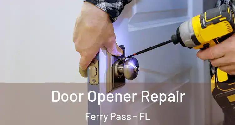  Door Opener Repair Ferry Pass - FL