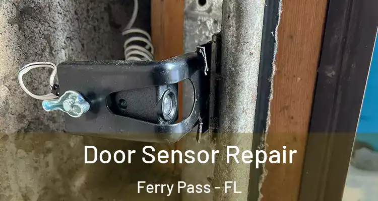  Door Sensor Repair Ferry Pass - FL
