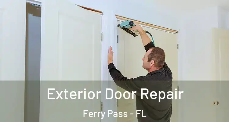  Exterior Door Repair Ferry Pass - FL