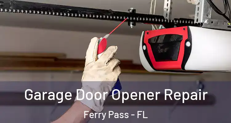  Garage Door Opener Repair Ferry Pass - FL