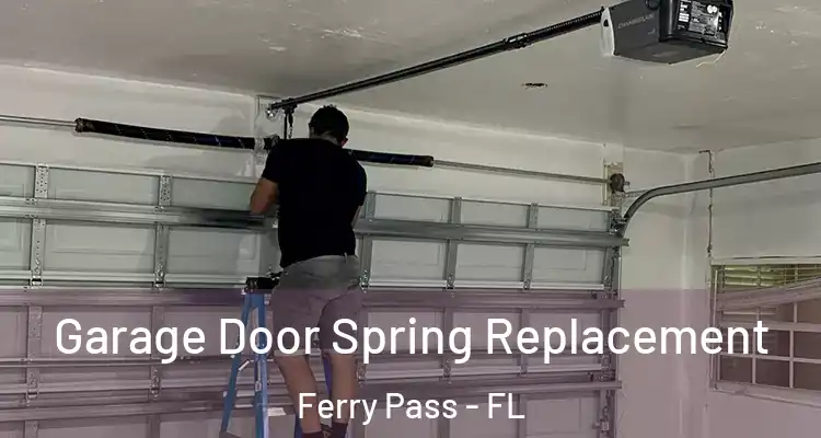  Garage Door Spring Replacement Ferry Pass - FL