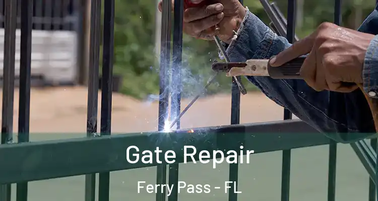  Gate Repair Ferry Pass - FL