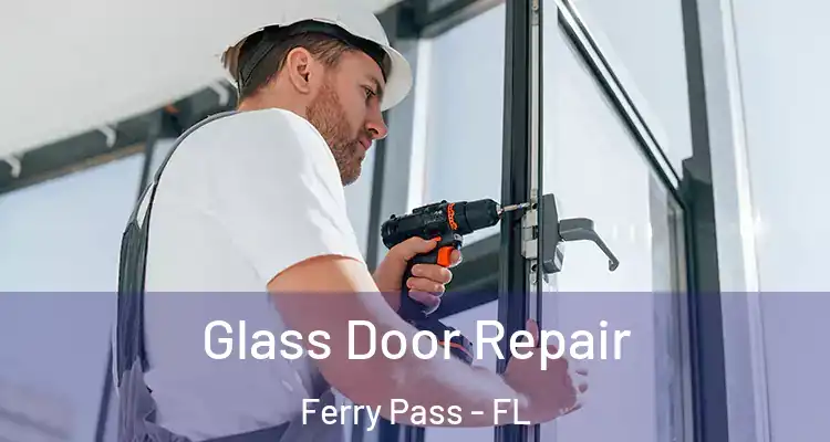  Glass Door Repair Ferry Pass - FL