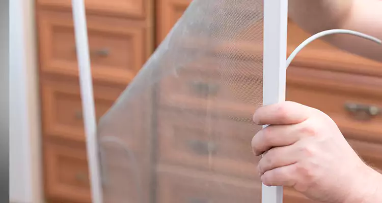 Privacy Mesh Screen Door Installation in Ferry Pass, FL