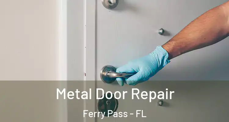  Metal Door Repair Ferry Pass - FL