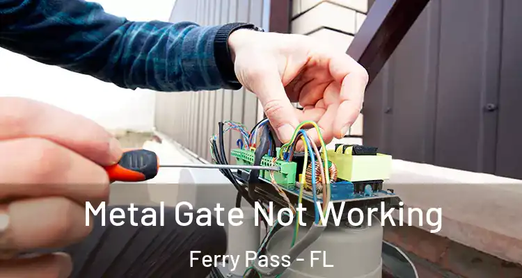 Metal Gate Not Working Ferry Pass - FL