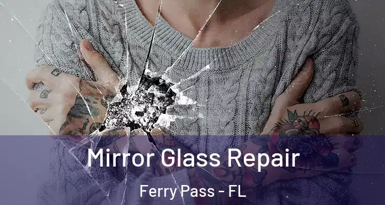  Mirror Glass Repair Ferry Pass - FL