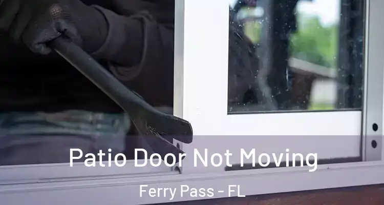 Patio Door Not Moving Ferry Pass - FL