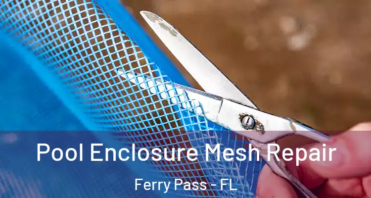  Pool Enclosure Mesh Repair Ferry Pass - FL