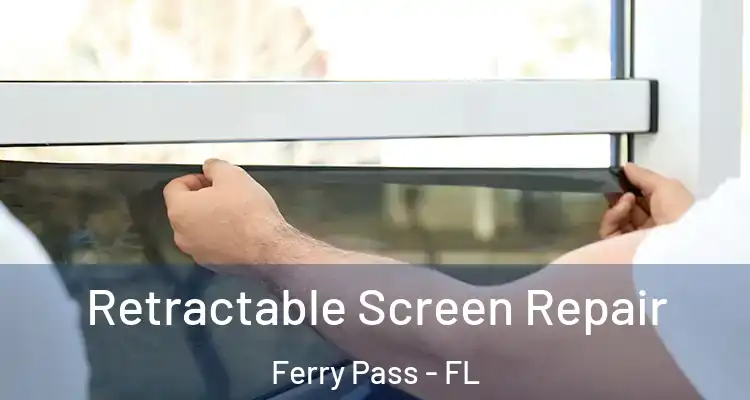  Retractable Screen Repair Ferry Pass - FL