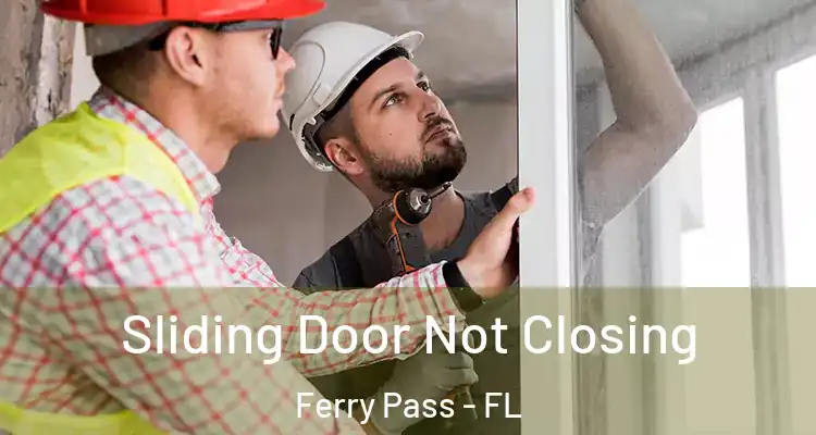  Sliding Door Not Closing Ferry Pass - FL