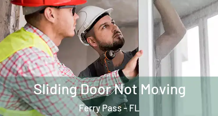  Sliding Door Not Moving Ferry Pass - FL