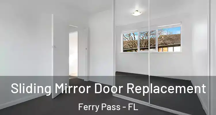  Sliding Mirror Door Replacement Ferry Pass - FL