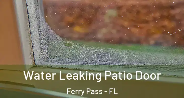  Water Leaking Patio Door Ferry Pass - FL