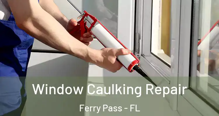  Window Caulking Repair Ferry Pass - FL