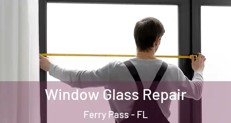  Window Glass Repair Ferry Pass - FL